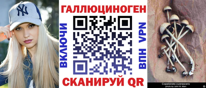 Галлюциногенные грибы Magic Shrooms  маркетплейс какой сайт  Трёхгорный 